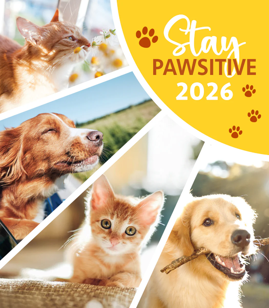 2026 Magnetic Calendars